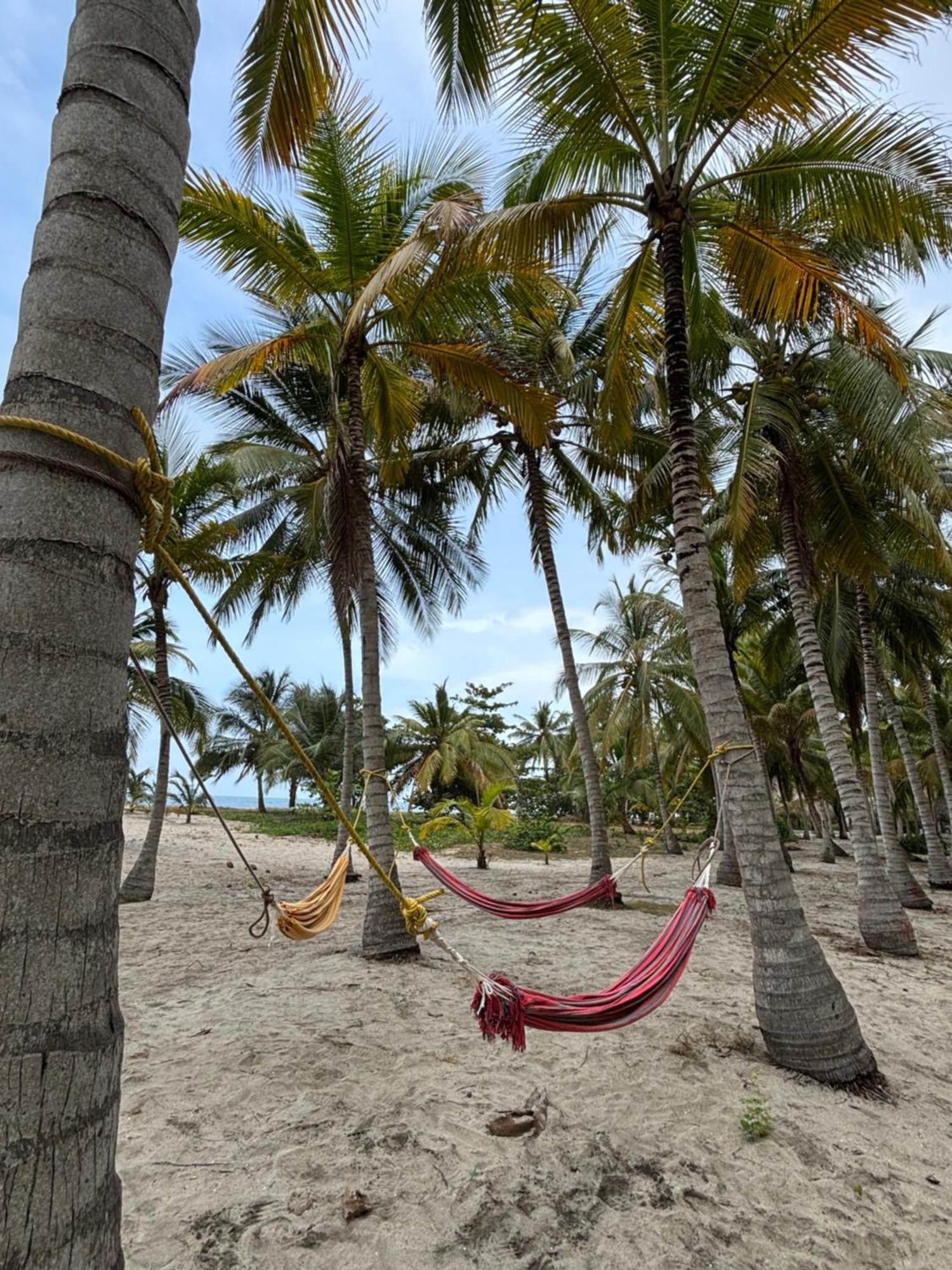 Playa Bonita Ecohotel Pet-Friendly Buritaca Exterior foto